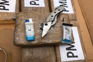 В контейнері з бананами виявили більш як пів центнера кокаїну (Фото)