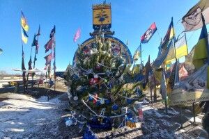 На Донеччині встановили ялинку з Волині