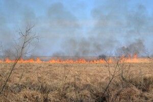 На Волині рятувальники ліквідували 28 пожеж