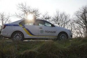 Розгніваний п'яний водій лопатою розтрощив автомобіль патрульних (Відео)