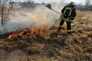 На Волині понад пів доби гасили палаюче торфовище