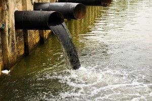 Луцькводоканал «влетів» на 8 мільйонів за забруднення води та загибель риби