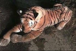 Британський фермер викликав поліцію для порятунку від іграшки