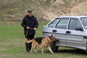 У Рівному відбулася міжвідомча семінар-нарада кінологів з усієї України