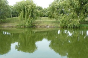 Прокуратура вимагає від Василя Столяра у 20 разів більшої ренти