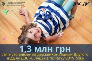 Луцькі виконавці «вибили» з боржників 1,3 мільйона гривень