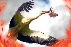 Крематорій для… лелек