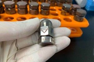 Китайці відправили клітини рідкісного тигра у… космос!