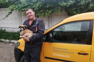 Волинські газовики врятували поранене цуценя (Фото)