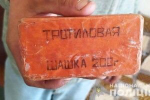 19-річний житель Рівненщини намагався втекти від поліцейських з... тротиловою шашкою (Фото)