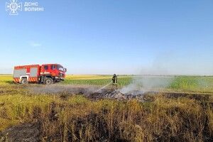 Волинь палає через спеку та людську недбалість
