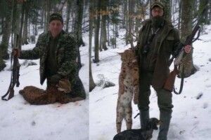 На Закарпатті лісничого відсторонили від посади через справу про червонокнижну рись