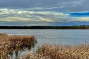 На волинському озері припинили видобувати сапропель, але почнуть наукові дослідження