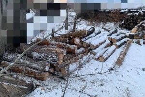 На Камінь-Каширщині спіймали крадія лісу