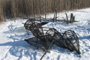 На Прип’яті витягли з лунок п’ять браконьєрських ятерів