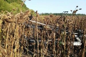 Легкомоторний літак впав у соняшникове поле: пілот загинув