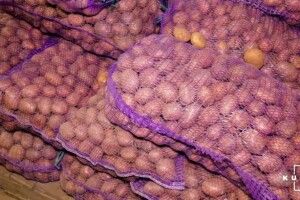 Цьогоріч в Україні знизиться виробництво картоплі