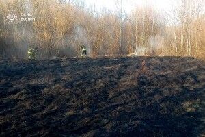 Рятувальникам довелося гасити підпал сухої трави... у великому райцентрі на Волині