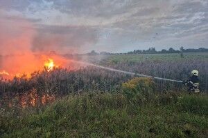 Рятувальники оштрафували двох волинян за підпали сухої рослинності