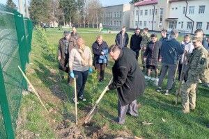 У Горохові випускники посадили біля ліцею 40 туй