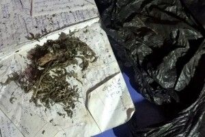 19-річний хлопець із волинського села торгував канабісом (Фото)