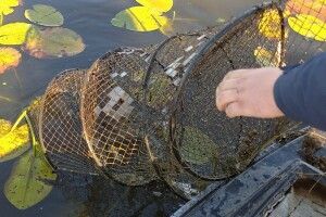 У нацпарку на Волині «полюють» на браконьєрів