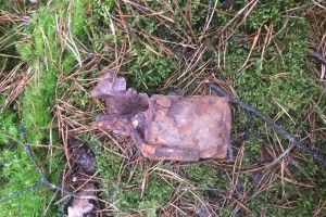 На Волині піротехніки знешкодили ручну гранату 