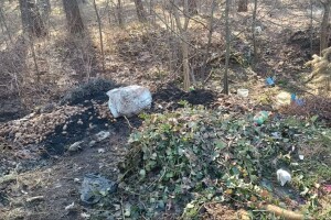 Лісок у колишньому райцентрі на Волині перетворюється на смітник