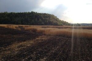 На Волині з пожежі врятували двох людей