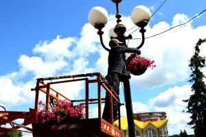 Волинське місто прикрасили квітами