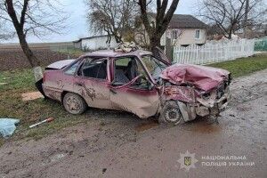 На Волині «Daewoo» протаранив дерево: двоє юнаків у лікарні