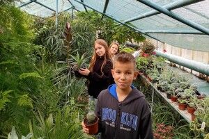 Тропіки посеред Волині: теплиця з бананами здобула «золото» всеукраїнського конкурсу