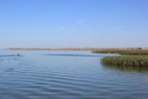 Почались роботи з облагородження Світязя: збудують зони для паркування, велосипедні доріжки, чистий пляж, дитячі майданчики