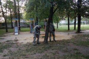 Рій шершнів оселився на дитячому майданчику