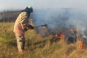 На Волині палала суха трава та чагарники