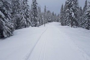 Ладнайте сани – на Україну сунуть снігопади!