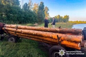 Нищили заповідні зони: на Рівненщині чоловіки рубали ліс у нацпарку (Фото)
