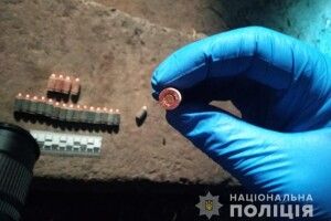 У волинянина вилучили набої до пістолета Макарова