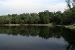 На Волині державі повернули землі природно-заповідного фонду з озером площею майже 100 га