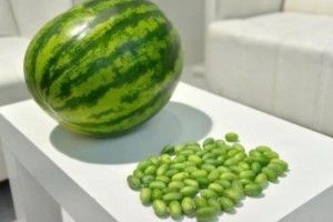 У Туреччині вивели сорт кавуна розміром з оливку