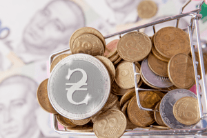 У нас будуть електронні гривні?