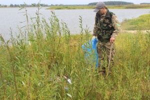 На берегах Прип'яті та Люб'язя п'янота поводить себе, неначе та свинота