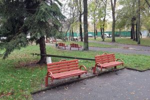 У Ковелі розпочався ліхтаропад?