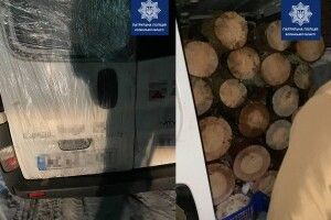 На Волині зловили буса з колодами