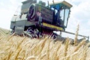ДОРОГИЙ ХЛІБ ОДНООСІБНИКІВ