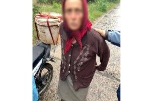 Пішла по ягоди: на Волині бабуся два дні блукала лісом