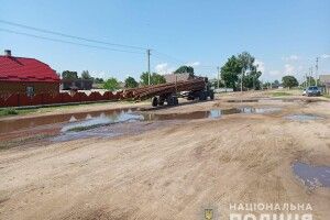 Деталь відірвалася від лісовоза і вбила 11-річну дівчинку (Фото)