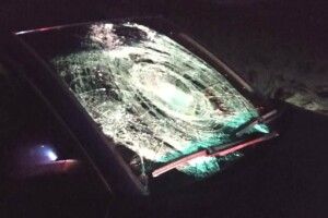 П'яний водій збив трьох пішоходів на Рівненщині