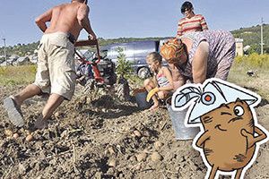 УСІ МИ БУЛЬБАСЬКОГО РОДУ!