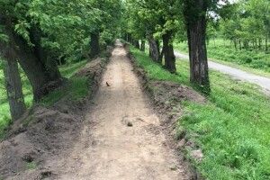 Показали, як у Луцьку доводять до ладу парк